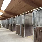 Gemuetliche Unterkuenfte Auf Dem Reiterhof In Eschede