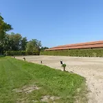 Gemuetliche Unterkuenfte Auf Dem Reiterhof In Semesterbostad