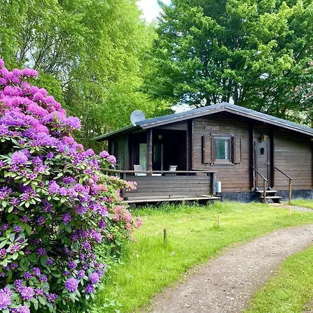 Cozy On A Horse Farm In The L Neburg Heath