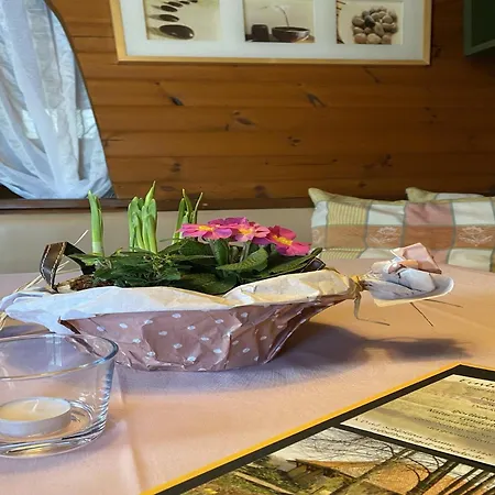 Cozy On A Horse Farm In The L Neburg Heath Holiday home