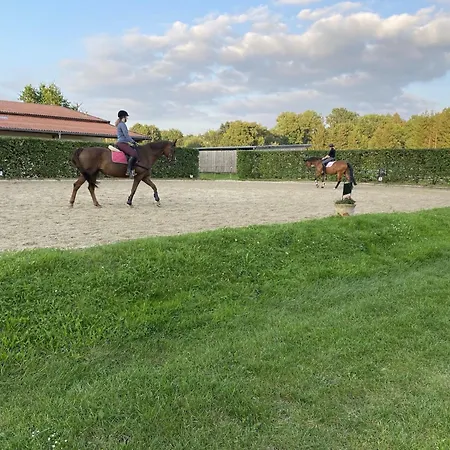 Cozy On A Horse Farm In The L Neburg Heath * Eschede
