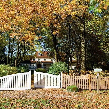 Holiday home Cozy On A Horse Farm In The L Neburg Heath *