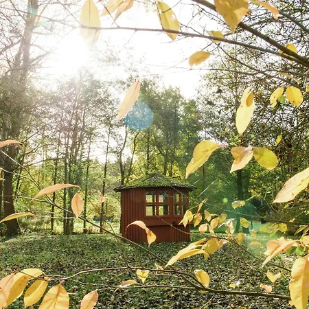 Holiday home Cozy On A Horse Farm In The L Neburg Heath Eschede