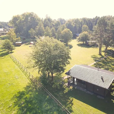 Cozy On A Horse Farm In The L Neburg Heath Holiday home *