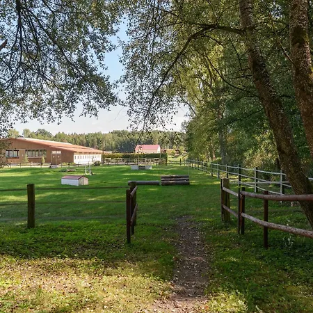 Holiday home Cozy On A Horse Farm In The L Neburg Heath *