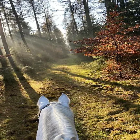 Cozy On A Horse Farm In The L Neburg Heath Eschede