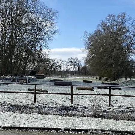 Cozy On A Horse Farm In The L Neburg Heath Holiday home Eschede