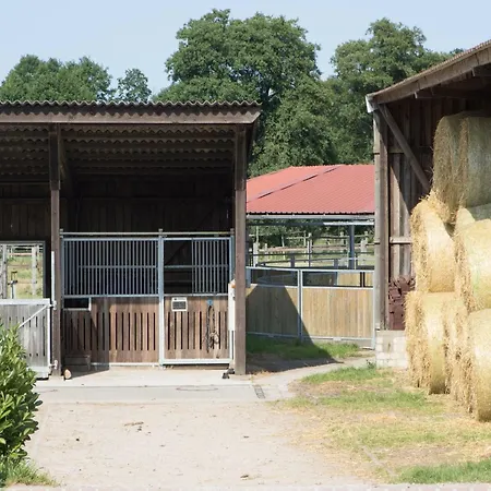 Holiday home Cozy On A Horse Farm In The L Neburg Heath Eschede