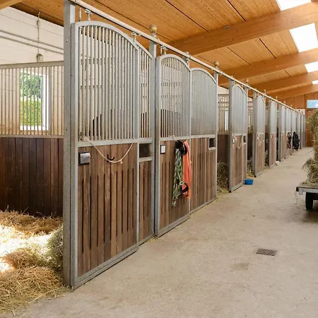 Gemuetliche Unterkuenfte Auf Dem Reiterhof In Casa de Férias