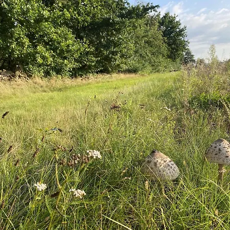 Prázdninový dům Gemuetliche Unterkuenfte Auf Dem Reiterhof In Eschede