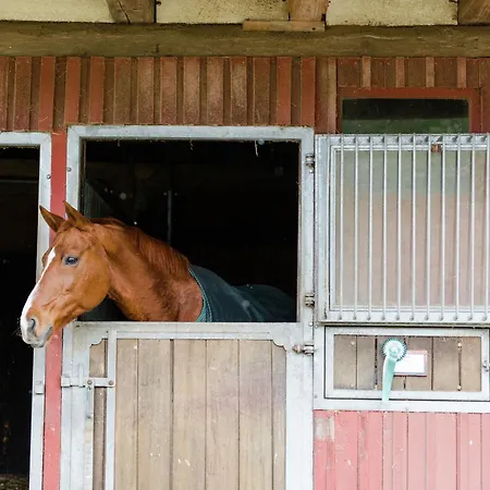 Gemuetliche Unterkuenfte Auf Dem Reiterhof In Eschede