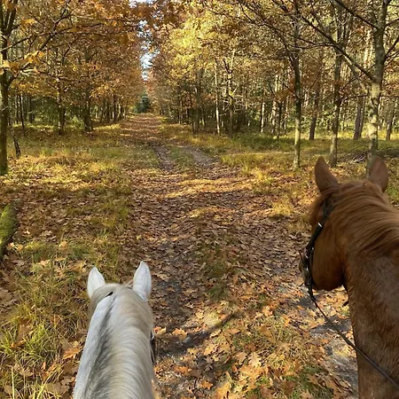 Gemuetliche Unterkuenfte Auf Dem Reiterhof In Prázdninový dům *