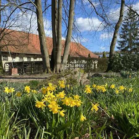 Gemuetliche Unterkuenfte Auf Dem Reiterhof In Eschede