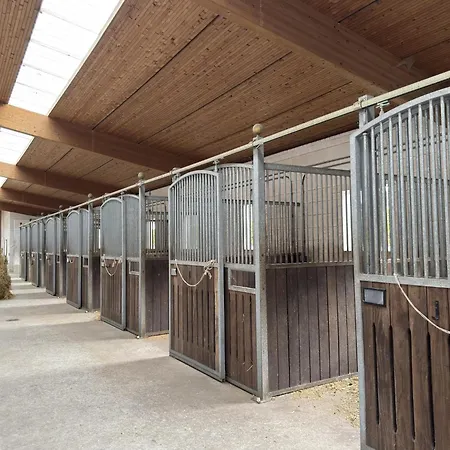 Gemuetliche Unterkuenfte Auf Dem Reiterhof In * Eschede