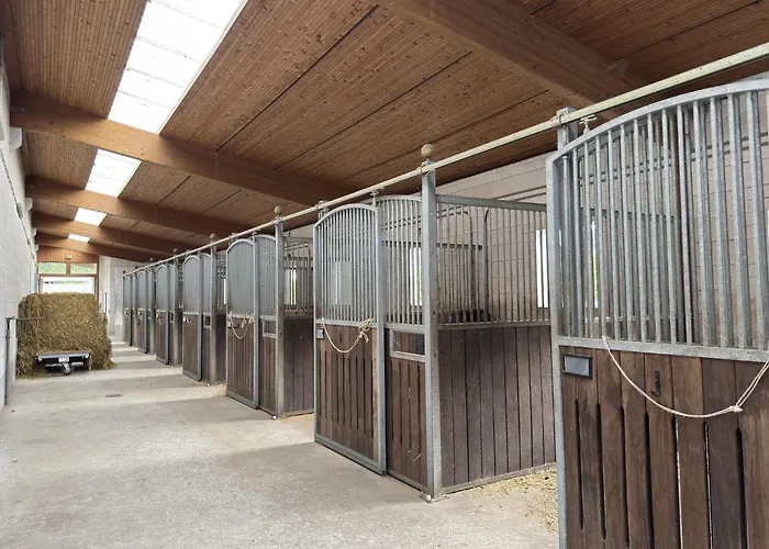 Gemuetliche Unterkuenfte Auf Dem Reiterhof In Eschede