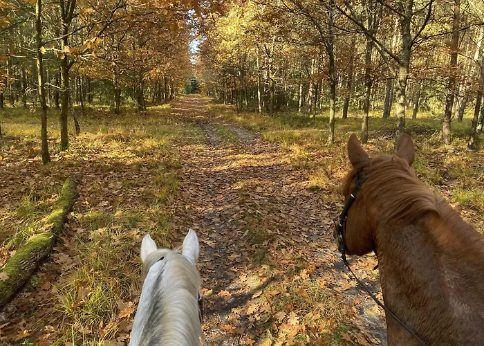 Gemuetliche Unterkuenfte Auf Dem Reiterhof In