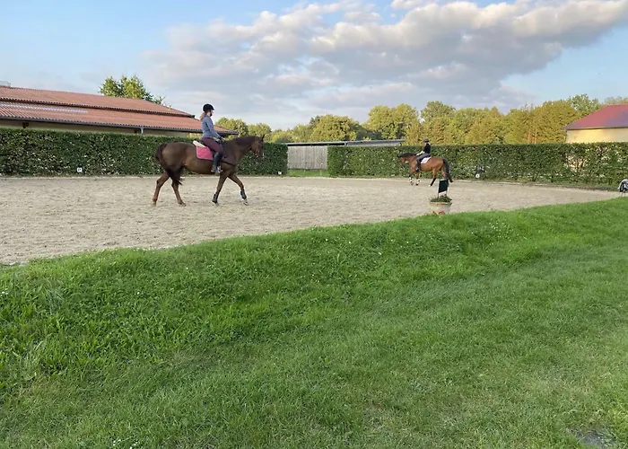 Gemuetliche Unterkuenfte Auf Dem Reiterhof In *